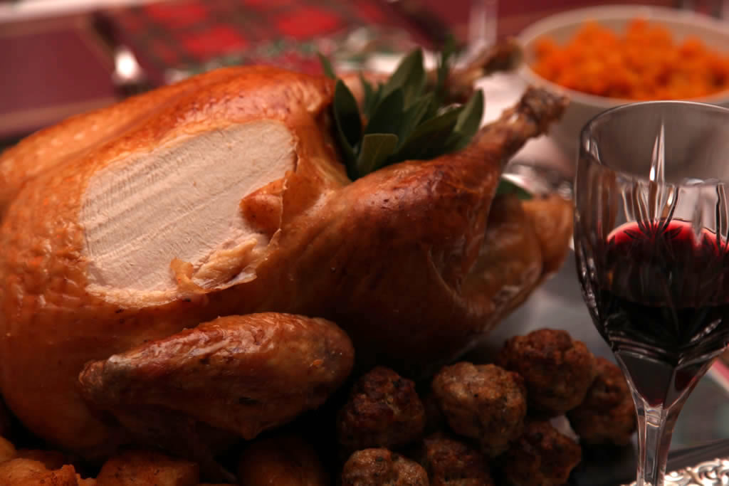 Roast Turkey Carving
